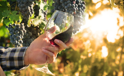 For or Against Organic Wine? A Complete Guide for 2025