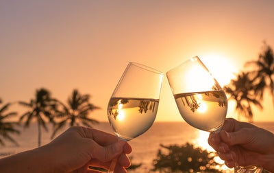 A Zest of Sunshine… On the Spanish Wine Route at the Perfect Temperature with LeChiller® Pro in 2025