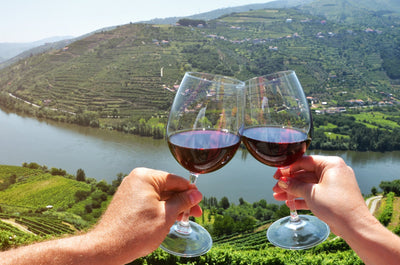 Tasting Trend: Everything You Need to Know About Portuguese Wines in 2025
