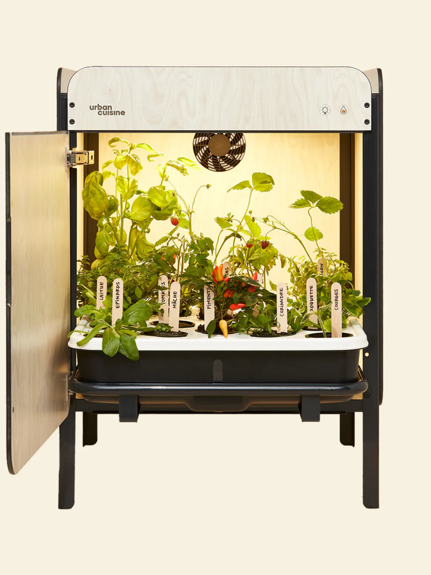 Liv, le potager salon 