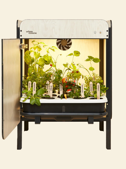 Liv, le potager salon 