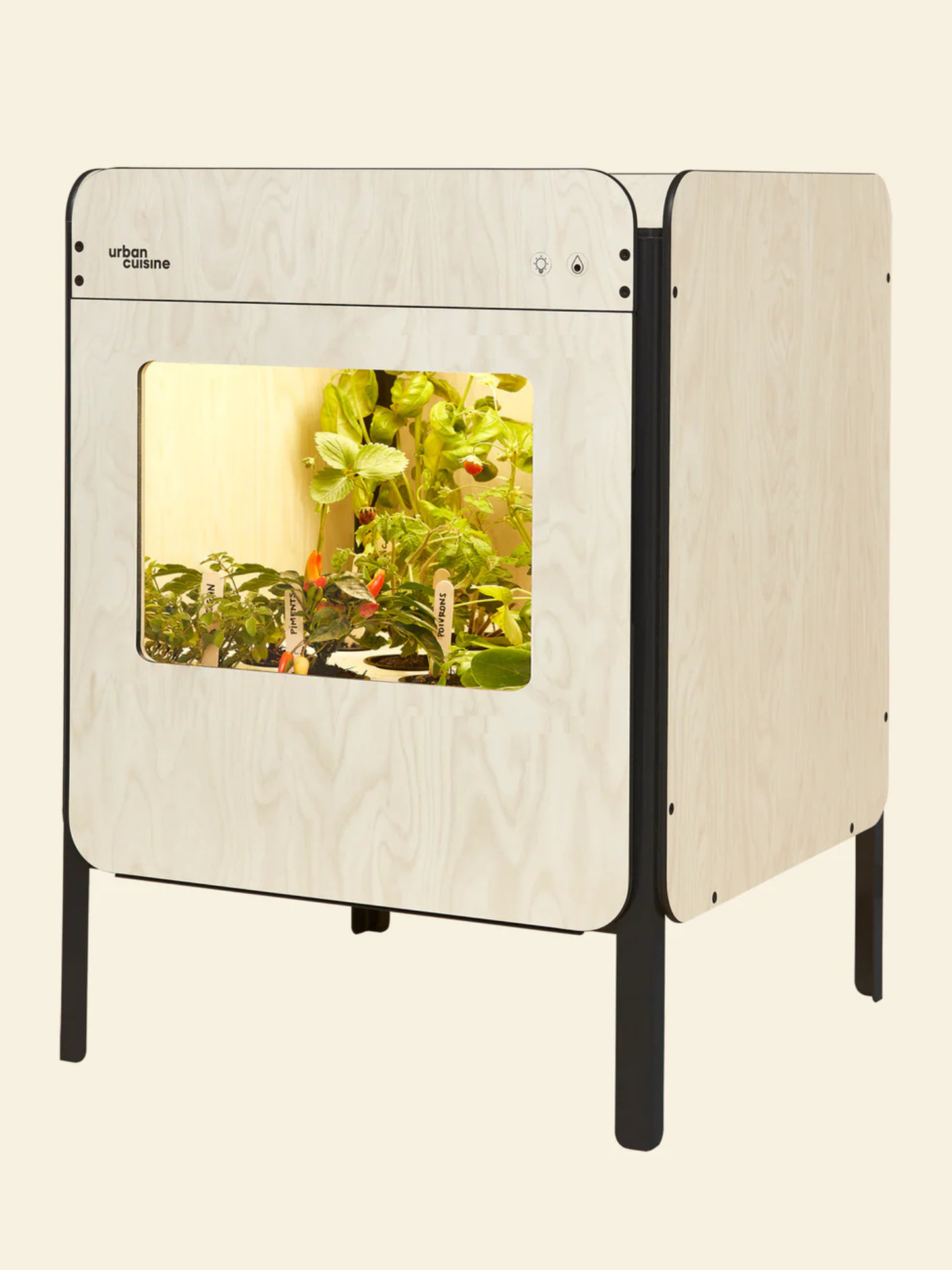 Liv, le potager salon 