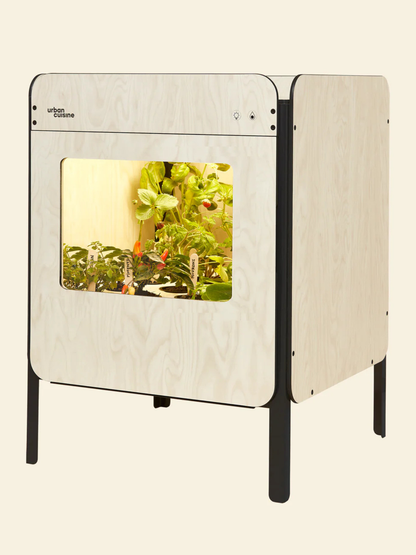 Liv, le potager salon 