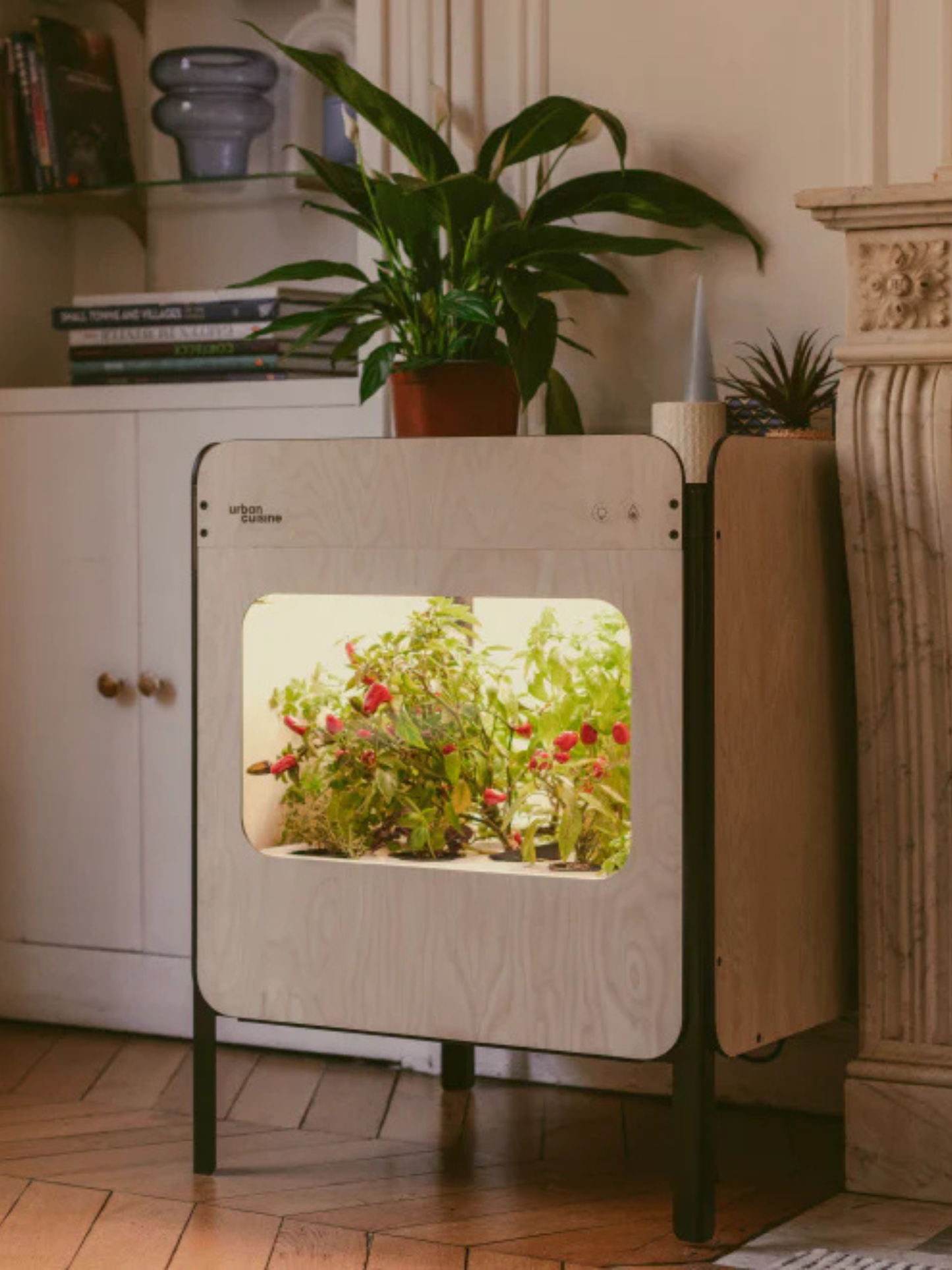 Liv, le potager salon 