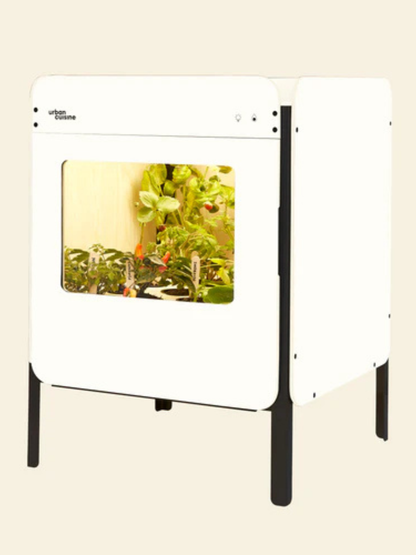 Liv, le potager salon 