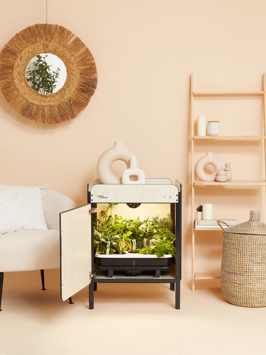 Liv, made for living-rooms
