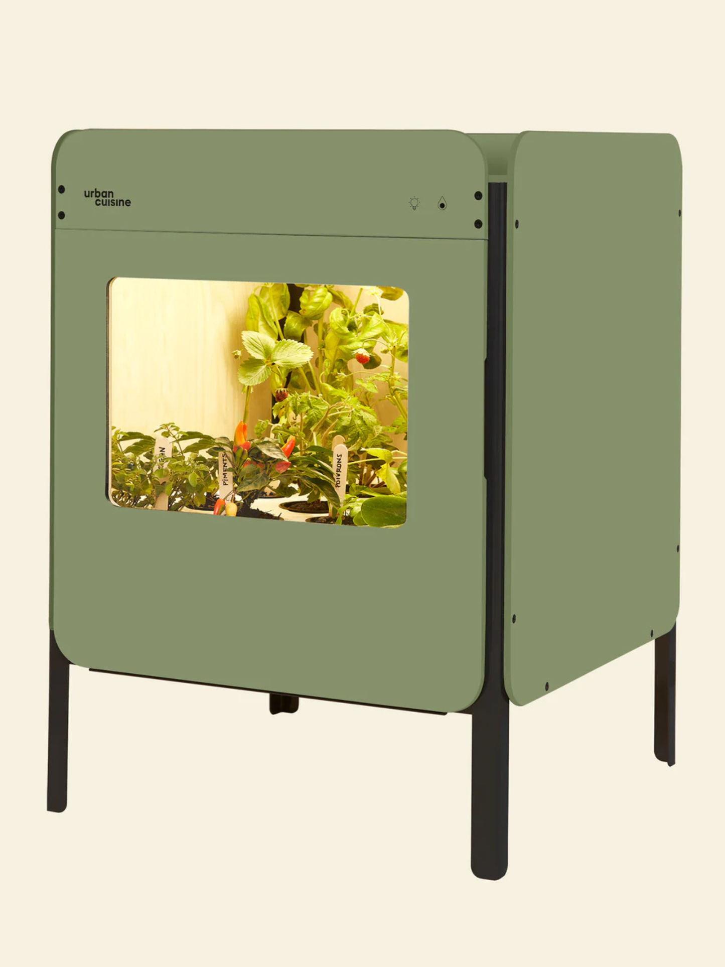 Liv, le potager salon 
